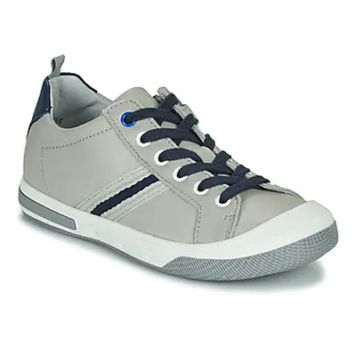 Little Mary LOGAN boys's Children's Shoes (Trainers) in Grey