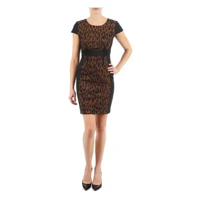 Manoukian EMMA women's Dress in Brown