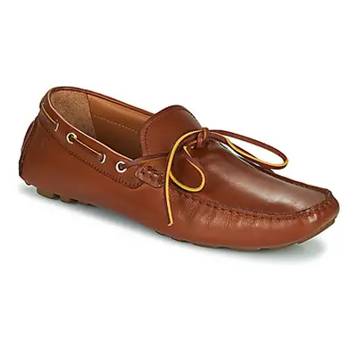 Carlington JEAN men's Loafers / Casual Shoes in Brown