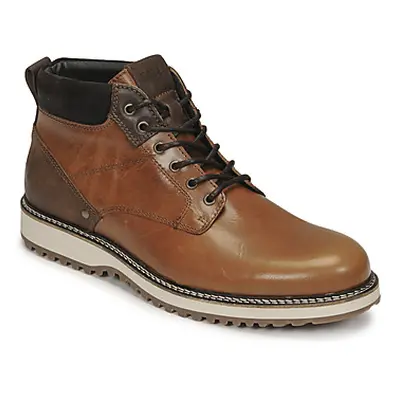 Casual Attitude NEW003 men's Mid Boots in Brown