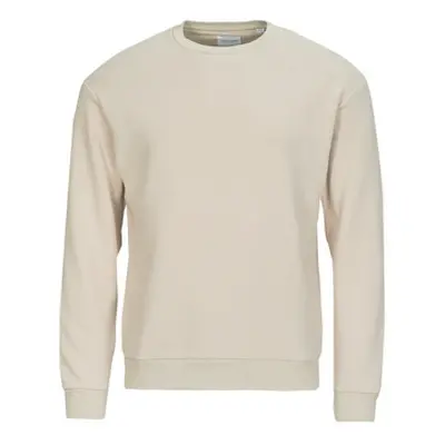 Jack & Jones JJEBRADLEY SWEAT CREW men's Sweatshirt in Beige