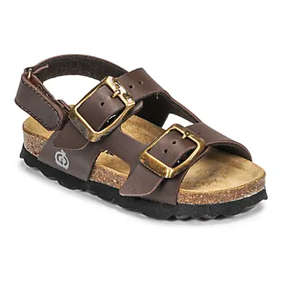 Citrouille et Compagnie KELATU boys's Children's Sandals in Brown