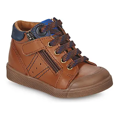 GBB ANATOLE boys's Children's Shoes (High-top Trainers) in Brown