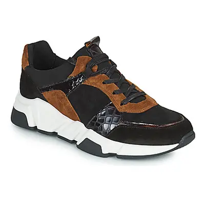 Regard KENO women's Shoes (Trainers) in Brown