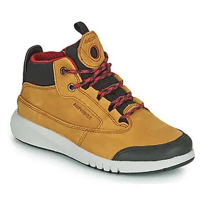 Geox AERANTER ABX boys's Children's Shoes (High-top Trainers) in Brown