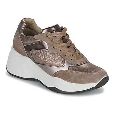 IgI&CO DONNA ENOLA 1 women's Shoes (Trainers) in Gold