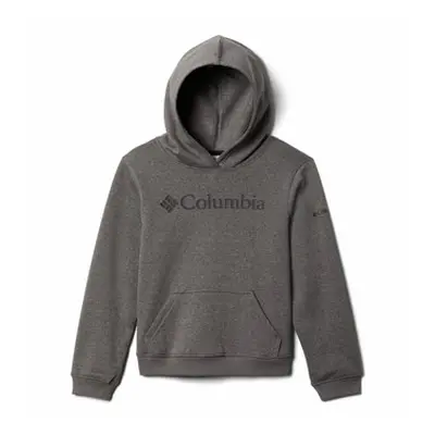 Columbia COLUMBIA TREK HOODIE boys's Children's sweatshirt in Grey