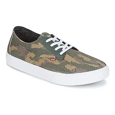 Globe Motley LYT men's Skate Shoes (Trainers) in Green