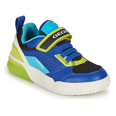 Geox GRAYJAY BOY boys's Children's Shoes (Trainers) in Blue