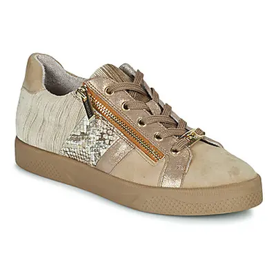 Mam'Zelle Auber women's Shoes (Trainers) in Brown