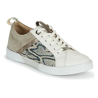 JB Martin GELATO women's Shoes (Trainers) in White