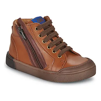 GBB STUART boys's Children's Shoes (High-top Trainers) in Brown