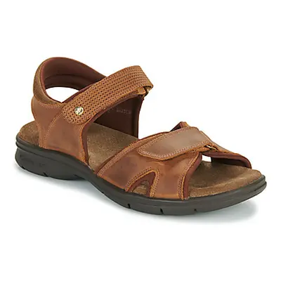 Panama Jack SANDERS BASICS C4 men's Sandals in Brown