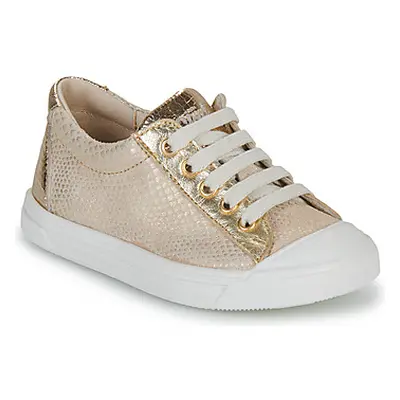 GBB MATIA girls's Children's Shoes (Trainers) in Gold