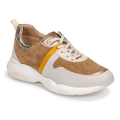 JB Martin WILO women's Shoes (Trainers) in Brown