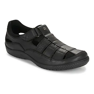 Panama Jack MERIDIAN C25 men's Sandals in Black