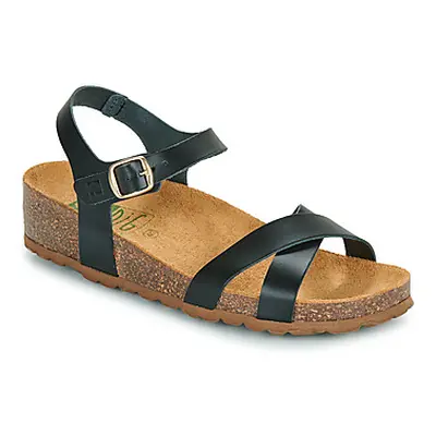 Dream in Green TSILI women's Sandals in Black