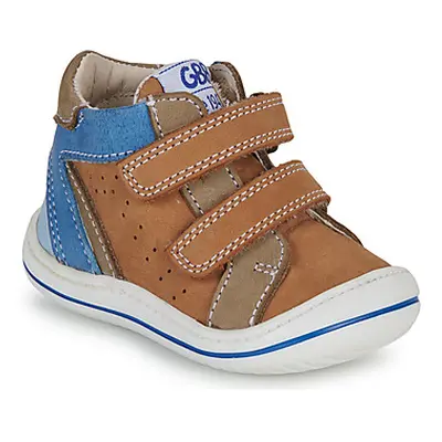 GBB FLEXOO SCRATCH boys's Children's Shoes (High-top Trainers) in Brown