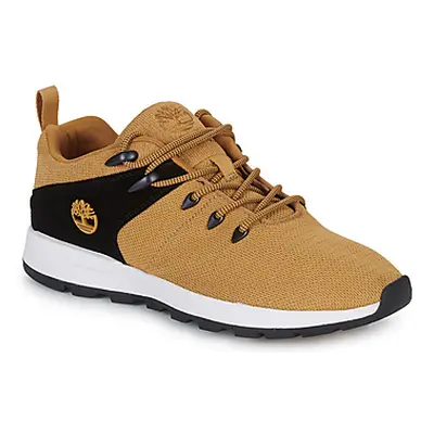 Timberland SPRINT TREKR LOW KNIT men's Shoes (Trainers) in Brown