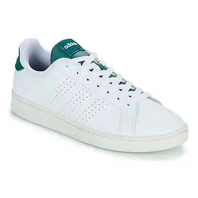 Adidas ADVANTAGE men's Shoes (Trainers) in White