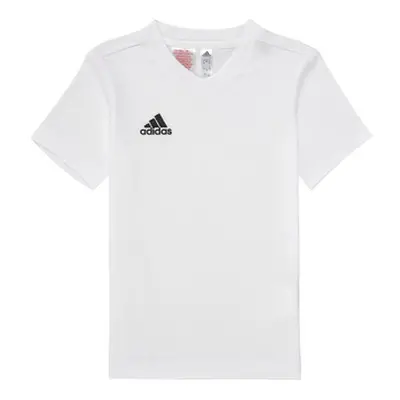 Adidas ENT22 TEE Y boys's Children's T shirt in White