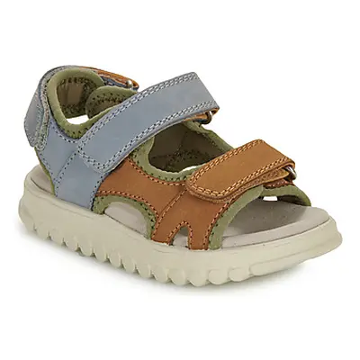 Shoo Pom ROLLY BOY SCRATCH boys's Children's Sandals in Brown