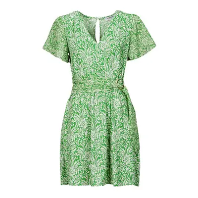 Morgan RICHIE women's Dress in Green