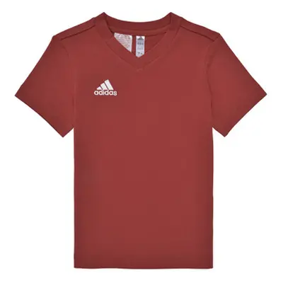 Adidas ENT22 TEE Y boys's Children's T shirt in Red