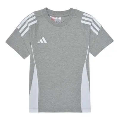 Adidas TIRO24 SWTEEY boys's Children's T shirt in Grey