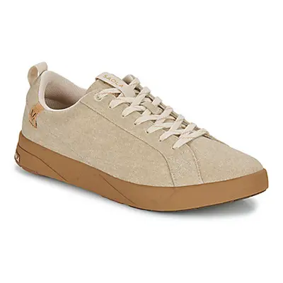 Saola CANNON CANVAS 2.0 men's Shoes (Trainers) in Beige