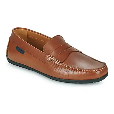 Pellet CADOR men's Loafers / Casual Shoes in Brown