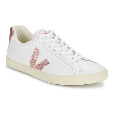 Veja ESPLAR LOGO women's Shoes (Trainers) in White