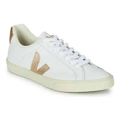 Veja ESPLAR LOGO women's Shoes (Trainers) in White