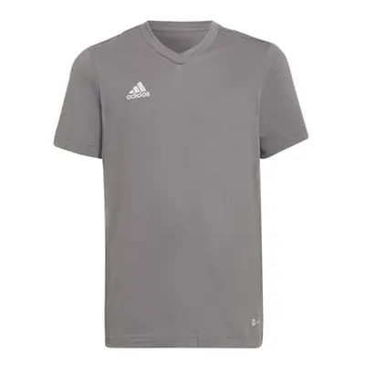 Adidas HC0444 girls's Children's T shirt in Grey