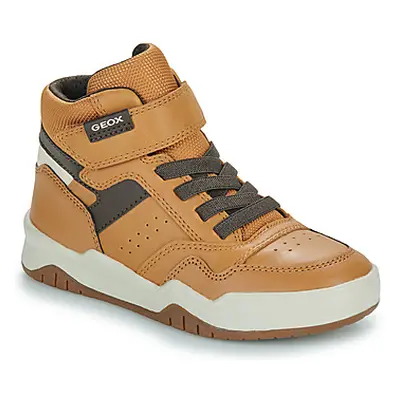 Geox J PERTH BOY boys's Children's Shoes (High-top Trainers) in Brown