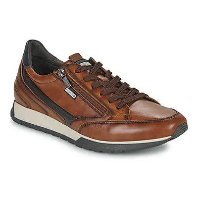 Pikolinos CAMBIL M5N men's Shoes (Trainers) in Brown