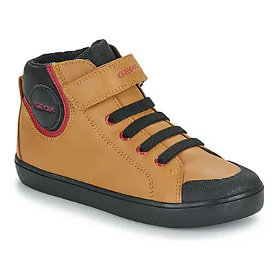 Geox J GISLI BOY boys's Children's Shoes (High-top Trainers) in Brown