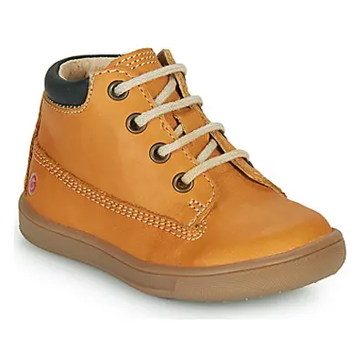 GBB NORMAN boys's Children's Shoes (High-top Trainers) in Brown