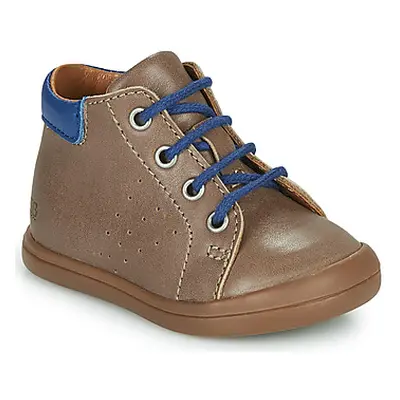 GBB TIDO boys's Children's Shoes (High-top Trainers) in Brown