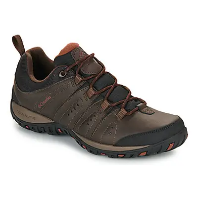 Columbia WOODBURN II WATERPROOF men's Walking Boots in Brown