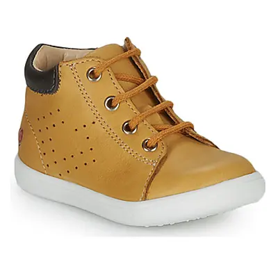 GBB FOLLIO boys's Children's Shoes (High-top Trainers) in Yellow