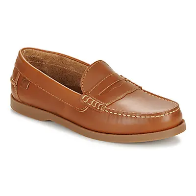 Casual Attitude NEVIAL men's Boat Shoes in Brown