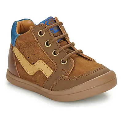 GBB BORISO boys's Children's Shoes (High-top Trainers) in Brown