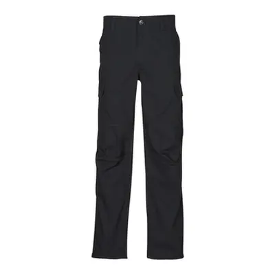 Dickies MILLERVILLE men's Trousers in Black