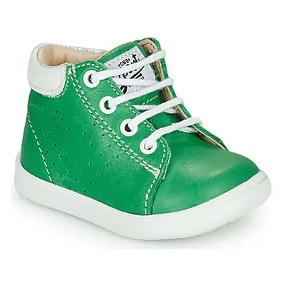 GBB FOLLIO boys's Children's Shoes (High-top Trainers) in Green