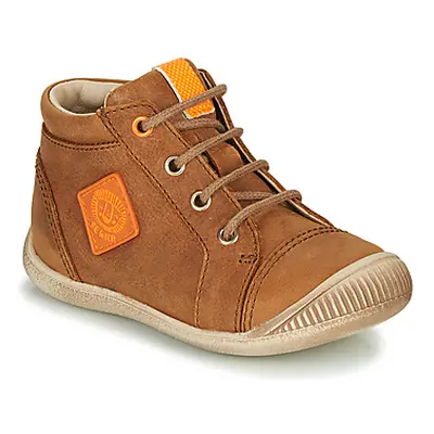 GBB TARAVI boys's Children's Shoes (High-top Trainers) in Brown