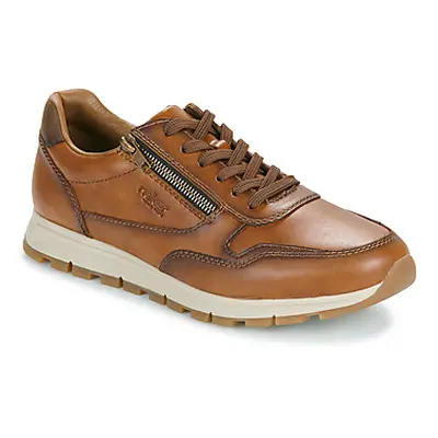 Rieker MAVILA men's Shoes (Trainers) in Brown