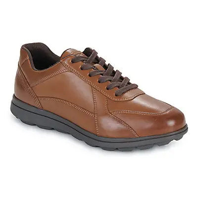 Geox U SPHERICA EC12 men's Shoes (Trainers) in Brown