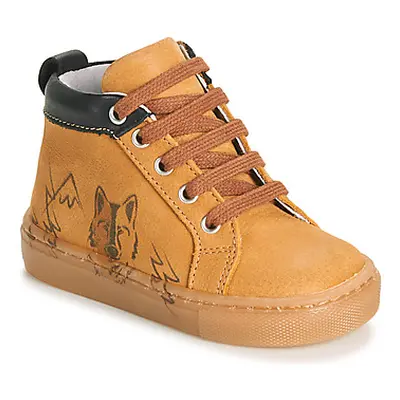 GBB BENOIT boys's Children's Shoes (High-top Trainers) in Brown