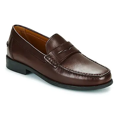 Geox U NEW DAMON men's Loafers / Casual Shoes in Brown